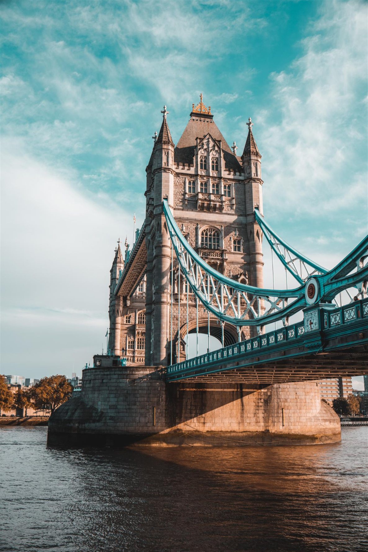 University admissions consultant for students in East London